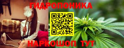гидропоника Канаш