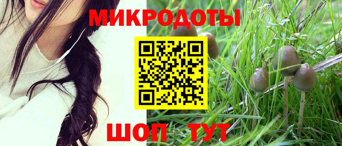 купить наркотик  Вход с VPN  Лесозаводск  Псилоцибиновые грибы мицелий 